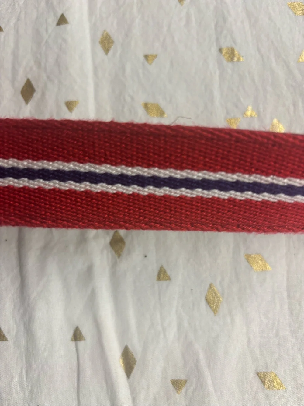 US Polo Association by Ralph Lauren Red Canvas Belt with Brown Leather Trim